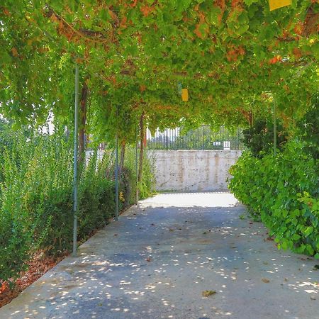 Villa Aphrodite Finiki Polis Dış mekan fotoğraf