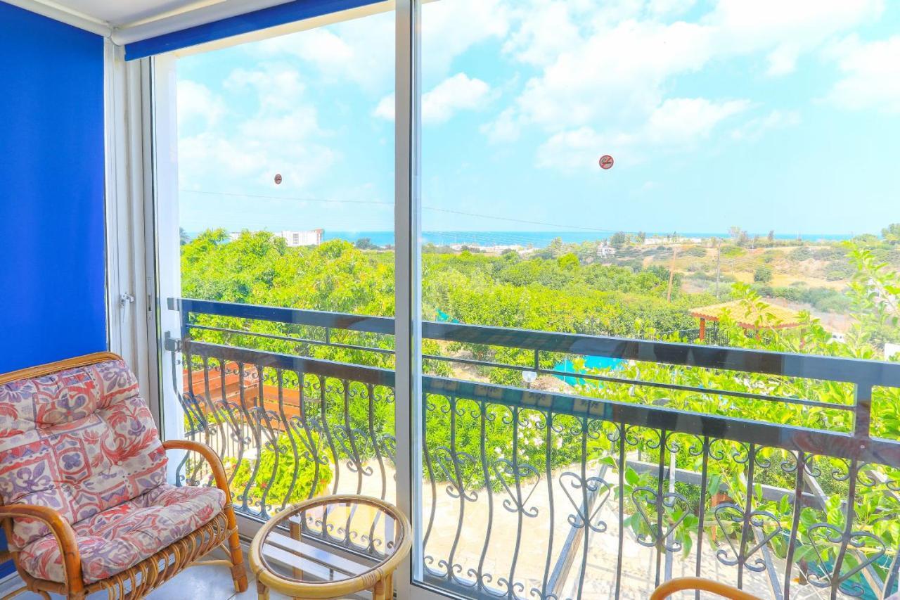 Villa Aphrodite Finiki Polis Dış mekan fotoğraf